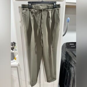 Zara Basic pants